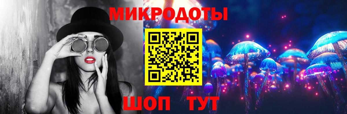 Михайловка  Псилоцибиновые грибы MAGIC MUSHROOMS  Вход с VPN 